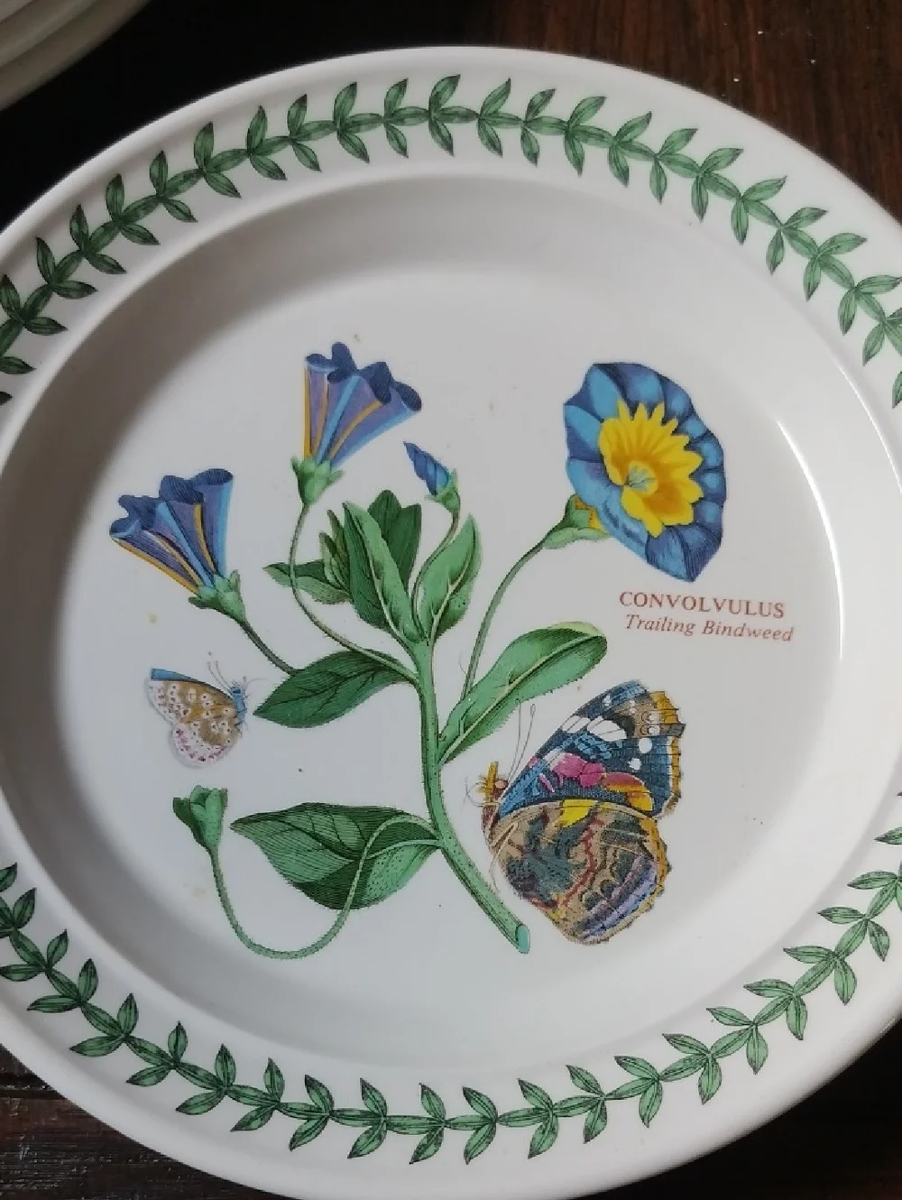 Port Meirion Botanical Convolvulus Floral Small Plate,7 Inch